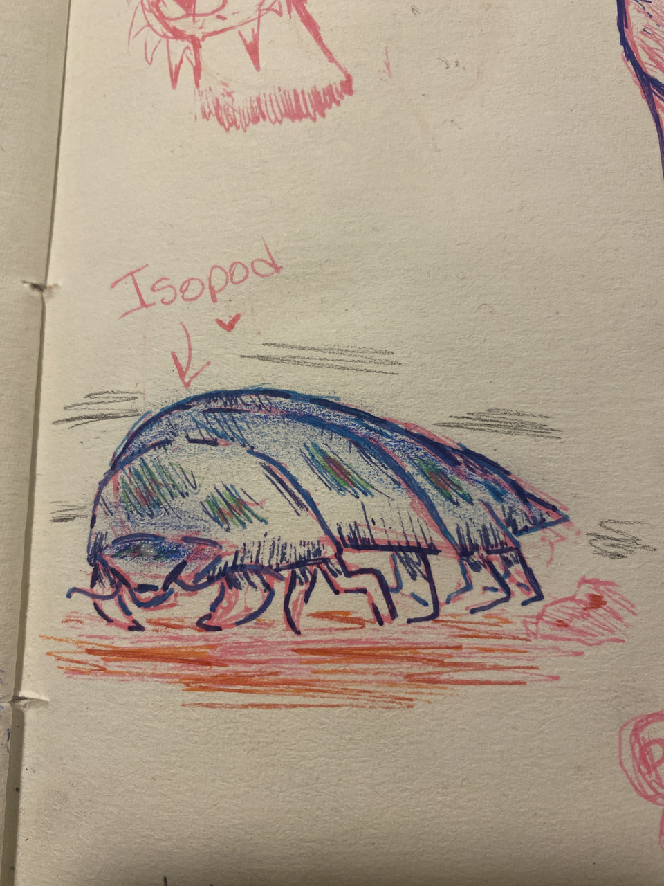 my first realistic animal drawing